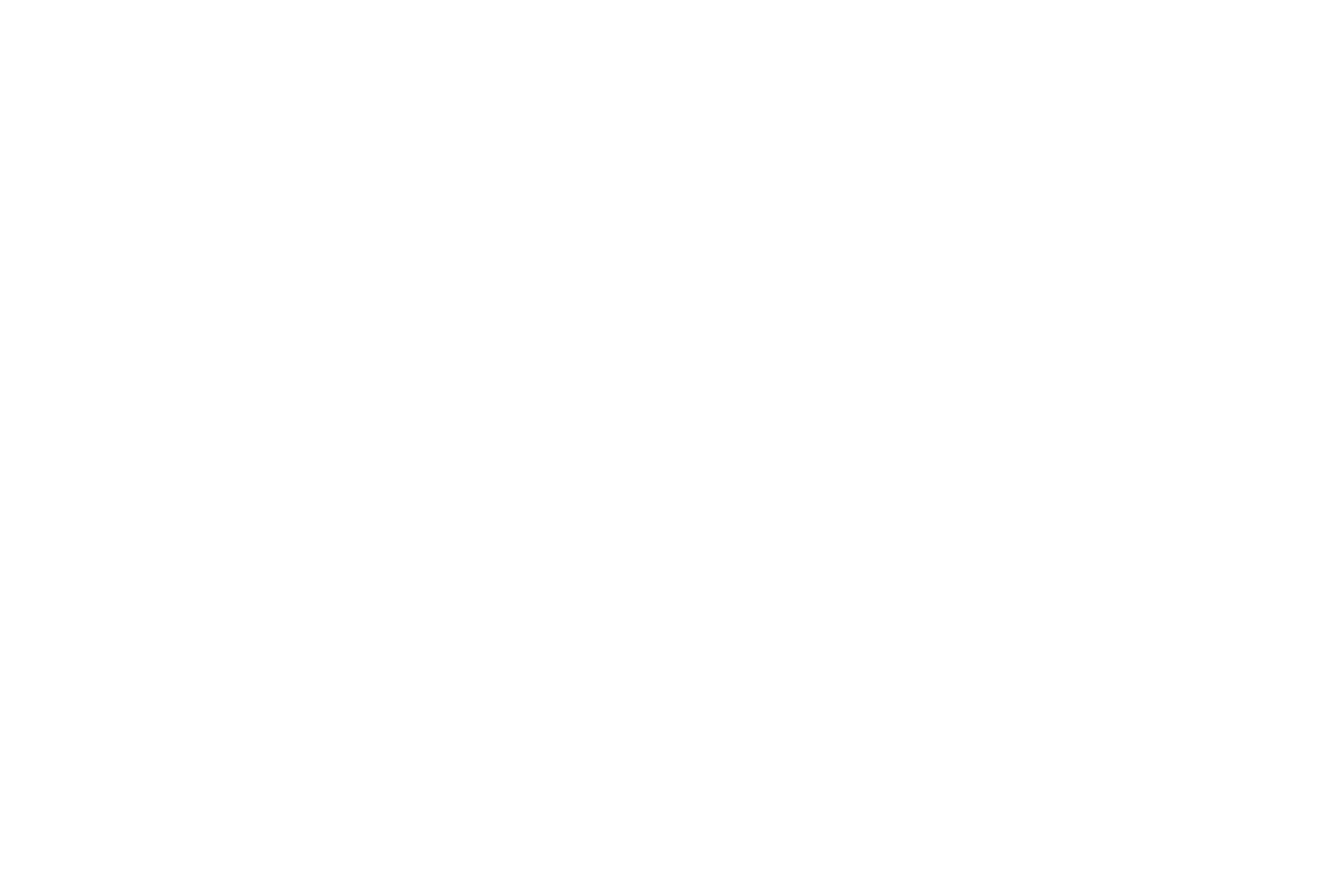 Aram Insurance
